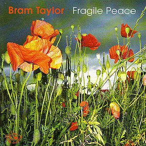 Fragile Peace