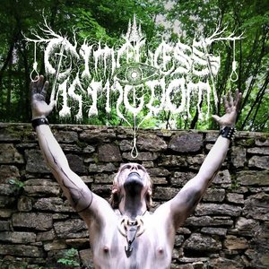 TIMELESS KINGDOM 的头像