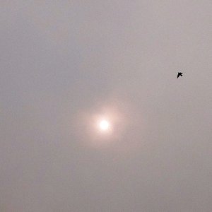 Однажды Утром 的头像
