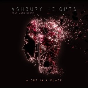 A Cut in a Place (feat. Madil Hardis) - Single