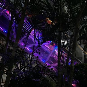 Everywhere I Go - Single
