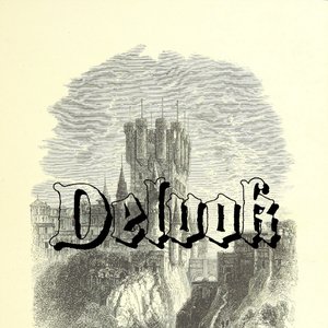 Delvok 的头像