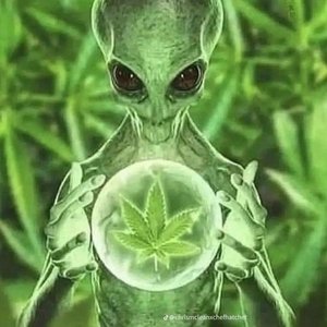 2099exxkklusive 的头像
