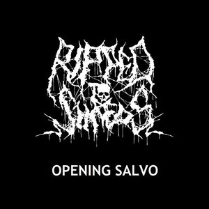 Opening Salvo