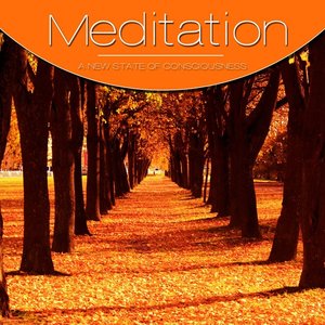 Meditation Vol. Orange, Vol. 3