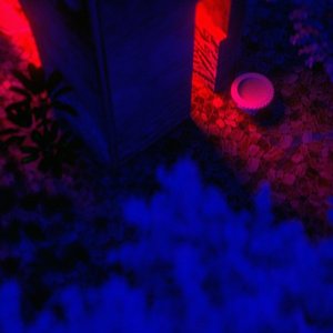 House is - Single