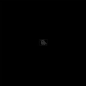A Huge Dark Room With The Picture of a Dog Framed In The Wall