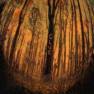 Glue - Single