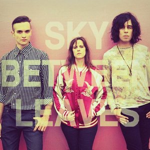 Image for 'Sky Between Leaves'