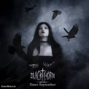 Bild för 'Sister September (Internet Single)'