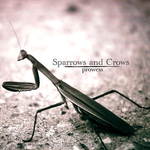 Prowess
