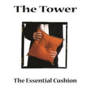 The Essential Cushion