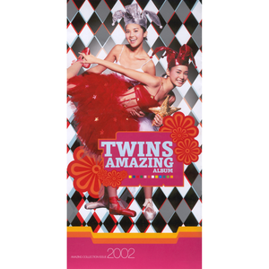 Twins Amazing cover