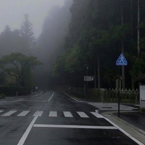 какие есть причины чтобы жить?