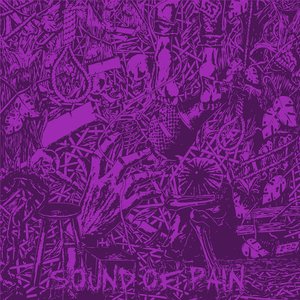 The Sound Of Pain [Explicit]