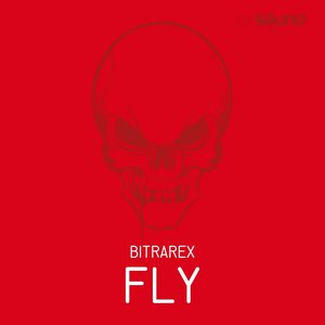 Fly