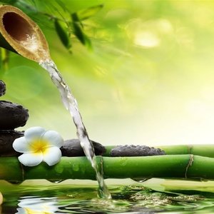 Avatar de Massage Spa Playlist