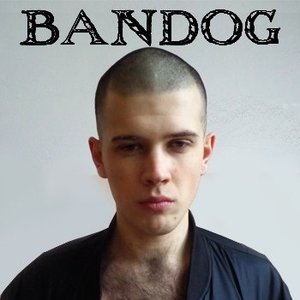 Bandog 的头像