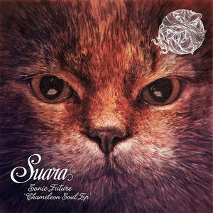 Chamelon Soul EP