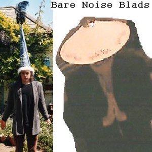 Bare Noise Blads のアバター