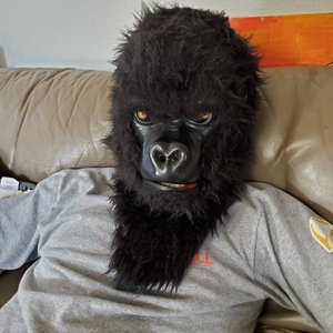 Meat Monkey 的头像