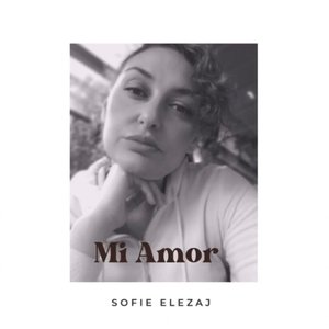 Mi Amor - Single