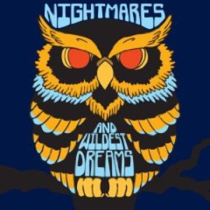 Nightmares and Wildest Dreams