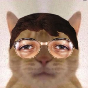 Café Infinito için avatar