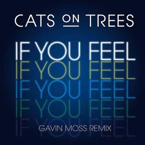 If You Feel (Gavin Moss Remix) - Single