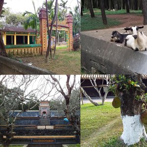 Pagodas and Phở Gà