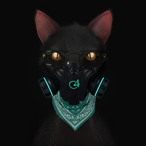 Gato de Noche