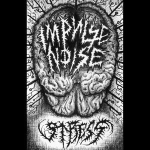 Avatar for impulse noise