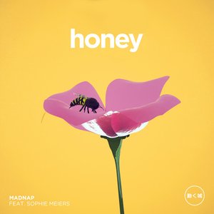 Honey (feat. Sophie Meiers)