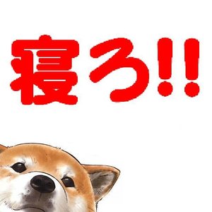 Lemmi 的头像