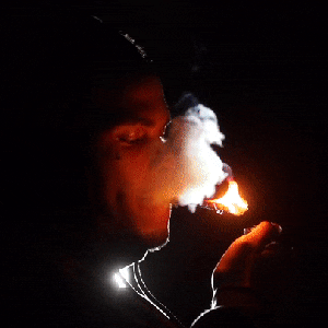 Xavier Wulf のアバター