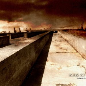 Dusk of Hope 的头像