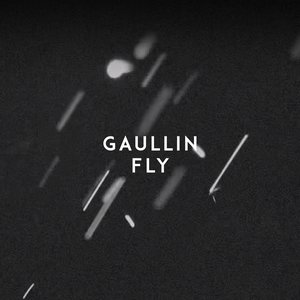 Gaullin - Fly - Zortam Music