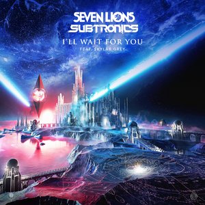 I'll Wait For You (feat. Skylar Grey) - Single