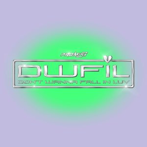 Don't Wanna Fall in Luv - Single