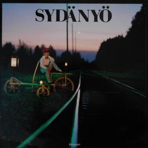 'Sydänyö'の画像