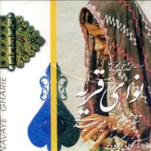 Malihe Saiedi 的头像