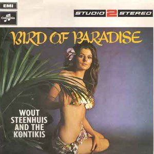 Bird Of Paradise