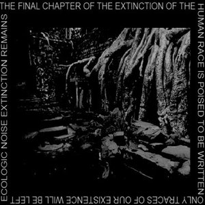 Ecologic Noise