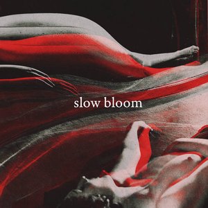 Slow Bloom - EP