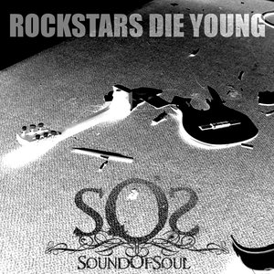 “Rockstars die young”的封面