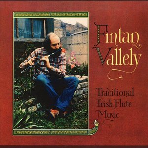 Traditional Irish Flute Music