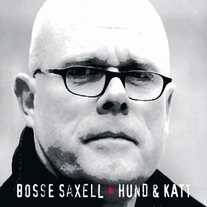Hund och Katt