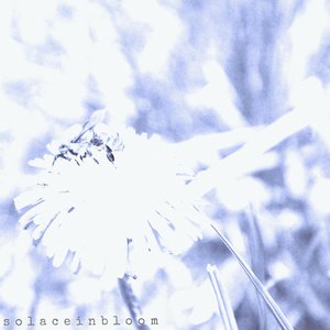 Demo - Single