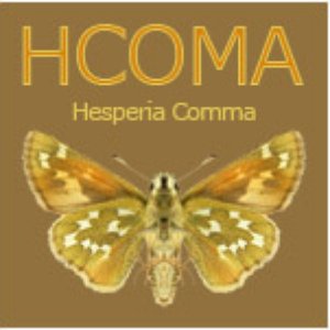 HCOMA 的头像