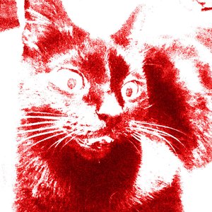 ANXIETY CAT 的头像